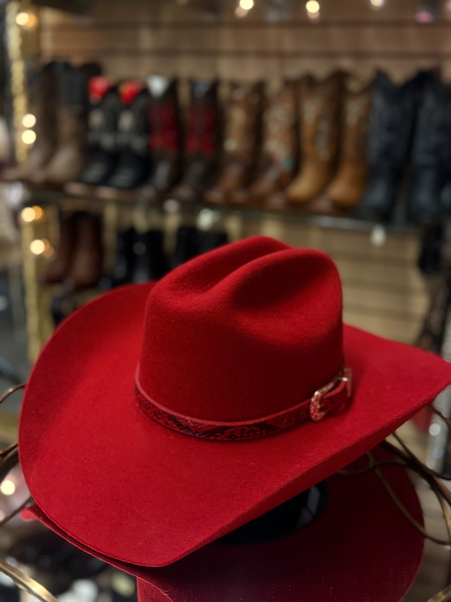 Amelia | 200x Western Texana