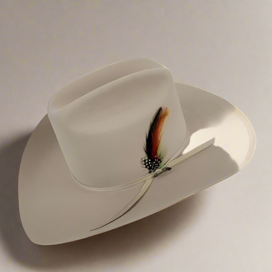 Stetson Hat 6x Rancher Silverbelly