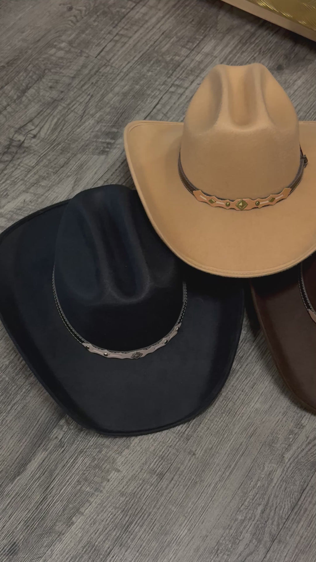 Texana Rodeo